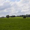 _DSC0917-Copier-