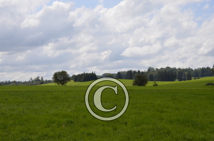 _DSC0917-Copier-