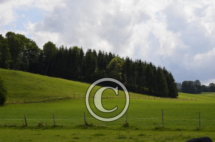 _DSC0918-Copier-