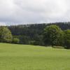 _DSC0921-Copier-