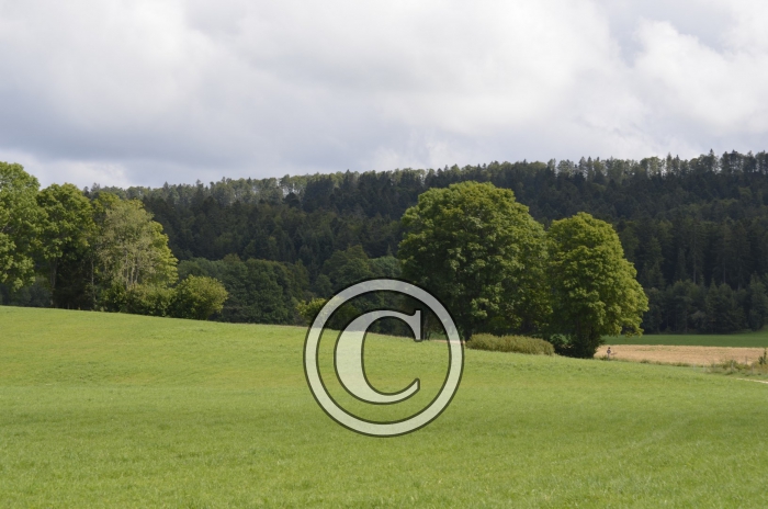 _DSC0921-Copier-