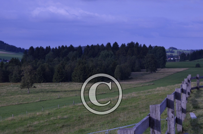 _DSC0928-Copier-