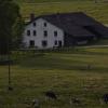 _DSC0930-Copier-