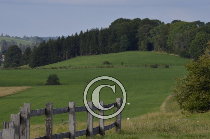 _DSC0931-Copier-