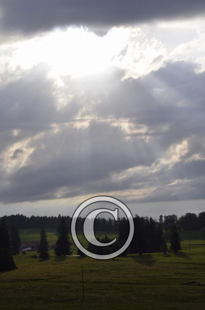 _DSC0935-Copier-