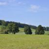 _DSC0940-Copier-