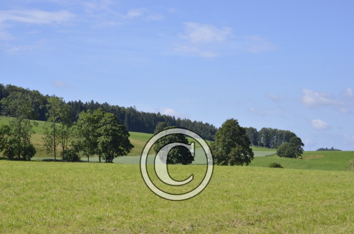 _DSC0940-Copier-