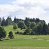 _DSC0941-Copier-