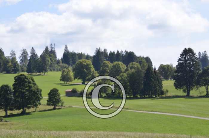 _DSC0941-Copier-