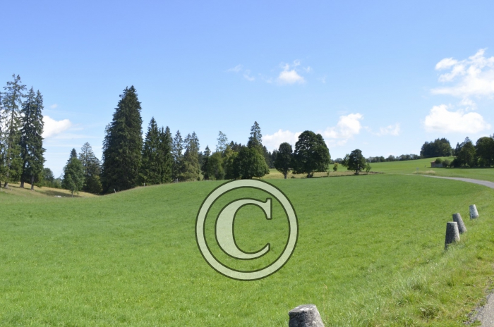 _DSC0944-Copier-