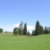 _DSC0945-Copier-