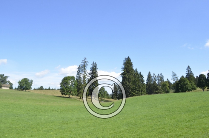 _DSC0945-Copier-