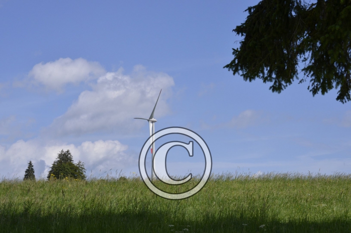 _DSC0952-Copier-