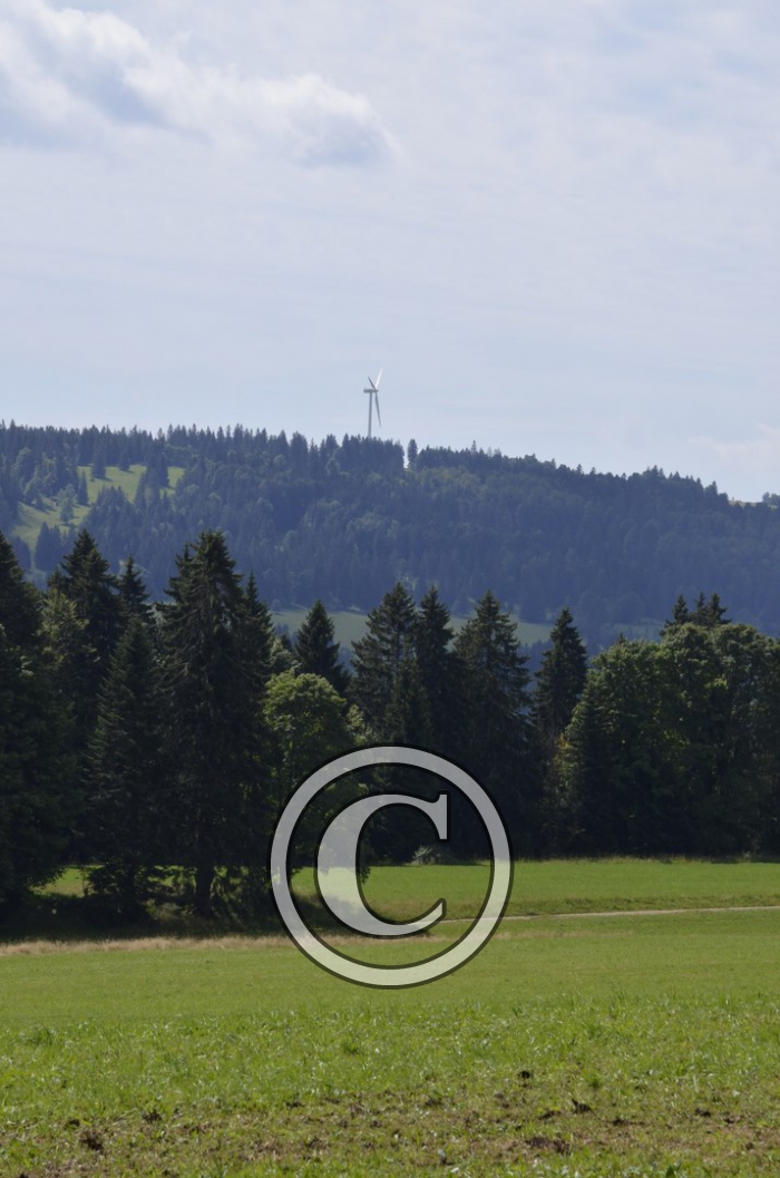 _DSC0955-Copier-
