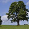 _DSC0960-Copier-