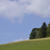 _DSC0964-Copier-