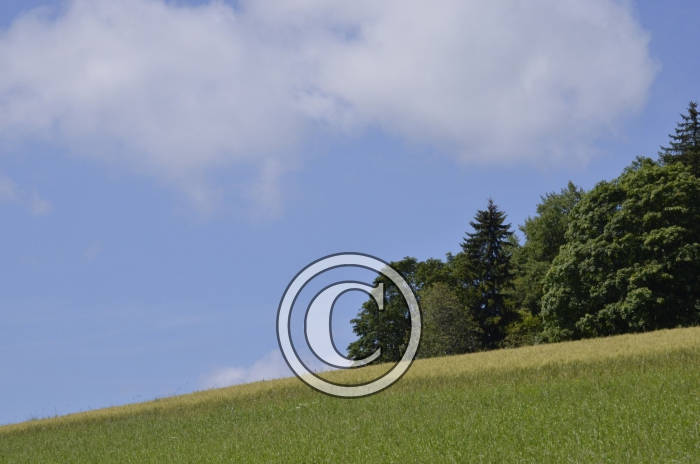 _DSC0964-Copier-