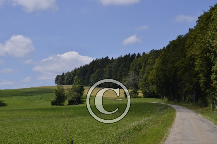 _DSC0966-Copier-