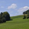 _DSC0967-Copier-