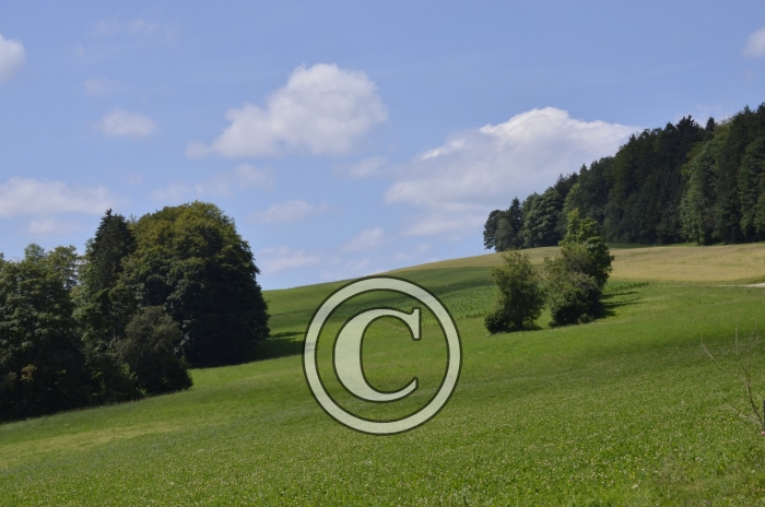 _DSC0967-Copier-