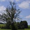 _DSC0969-Copier-