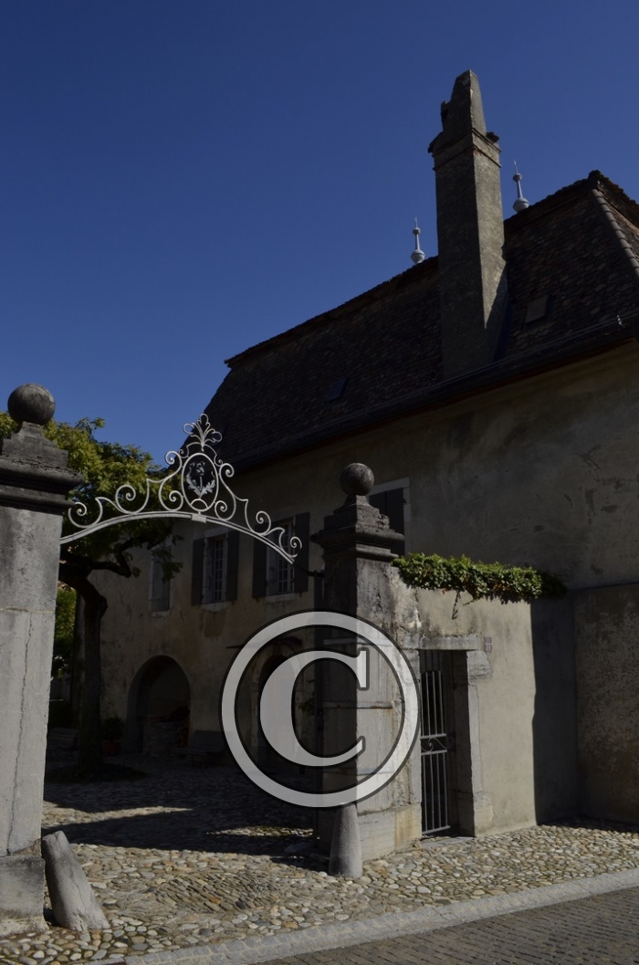 _DSC1364-Copier-