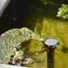 _DSC1374-Copier-