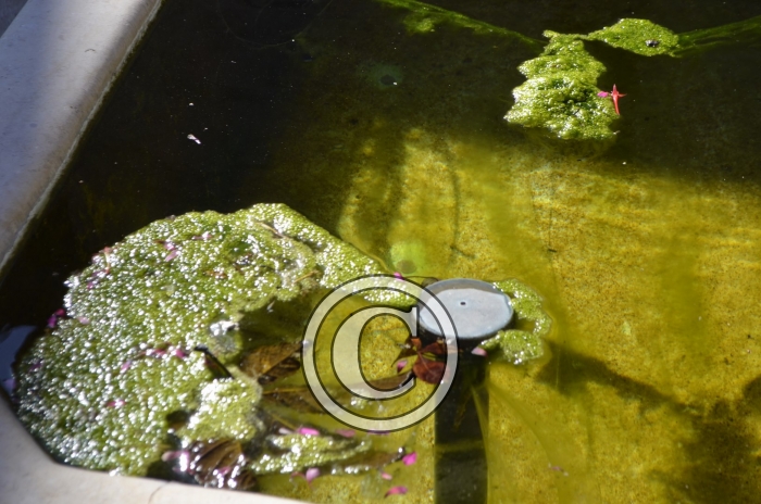 _DSC1374-Copier-