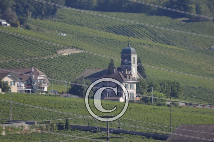 _DSC1331-Copier-