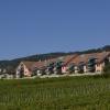 _DSC1351-Copier-