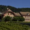 Mont-sur-Rolle