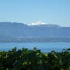 P1040738-Copier-