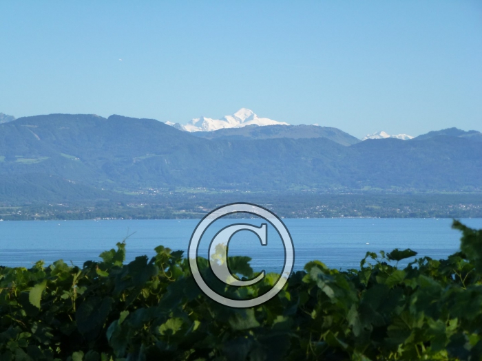 P1040738-Copier-