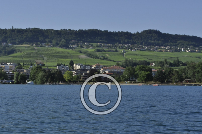 _DSC0003-Copier-2-