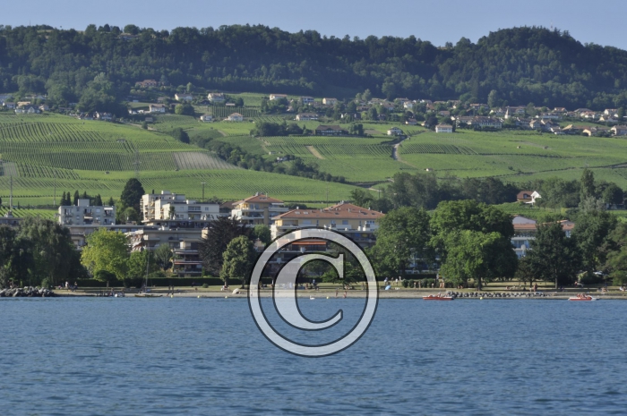 _DSC0004-Copier-2-