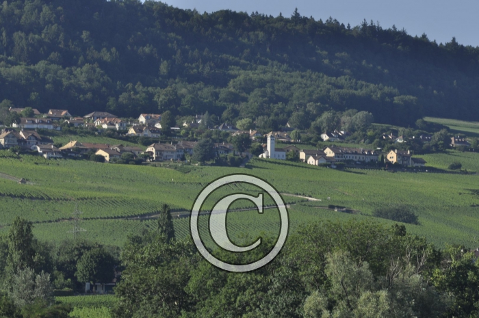 _DSC0008-Copier-2-