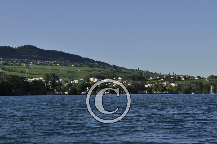 _DSC0011-Copier-2-