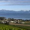 _DSC1422-Copier-