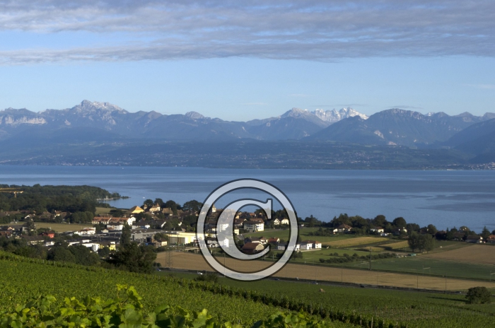 _DSC1422-Copier-