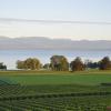 _DSC1490-Copier-