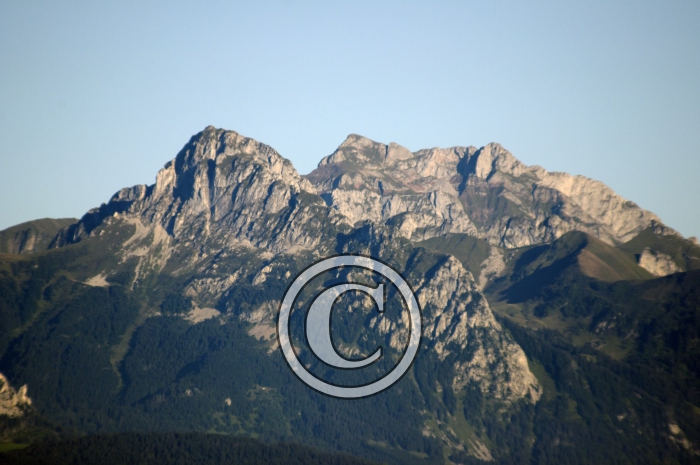 _DSC3479-Copier-
