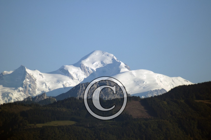 _DSC3484-Copier-