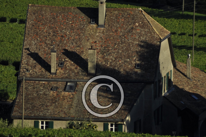 _DSC3490-Copier-