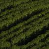 _DSC3494-Copier-