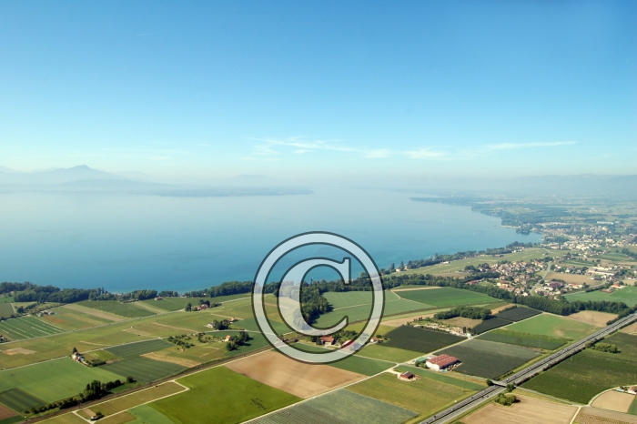 lacote1-Copier-