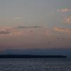 DJP_4498-Copier-