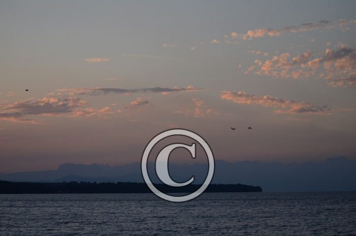 DJP_4498-Copier-
