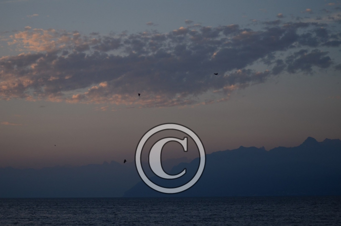 DJP_4500-Copier-