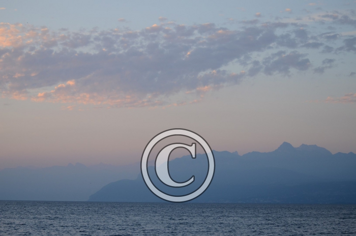 DJP_4501-Copier-
