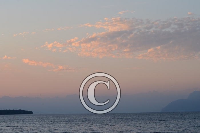 DJP_4512-Copier-